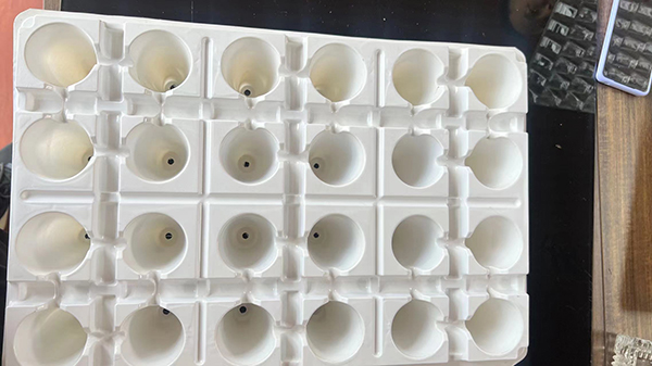 PET草莓盤價(jià)格